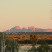 Olgas - light is now hazy yellow-pink, a closer shot with brighter red colours. Green shrubs look gold in early sun.