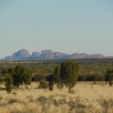 Olgas sun has fully risen, the sky is blue and foreground a vibrant dark green from the shrubs etc.