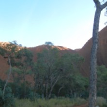 A view of the side of Uluru. Plenty of trees in this curve.