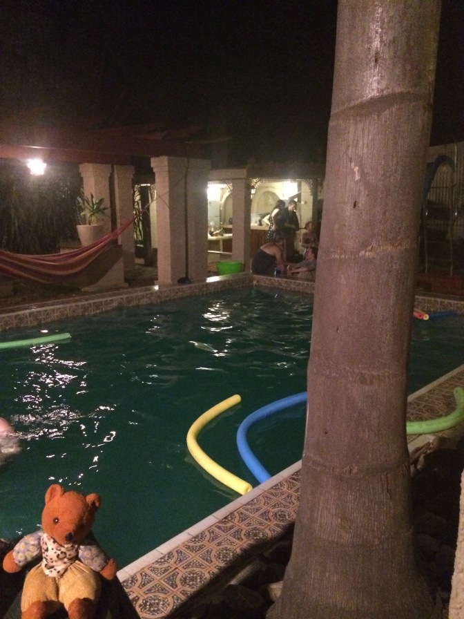 Womble sits on the edge of the pool - it is behind him and lit by artificial lighting, with two pool noodles floating in it. A tree trunk obscures part of the view on the right-hand-side